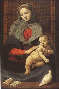 Piero di Cosimo The Virgin and Child with a Dove (mk05) France oil painting art